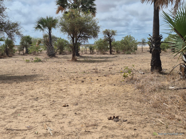 terrain-de-300-metres-carres-a-vendre-a-ndangane-senegal-big-0