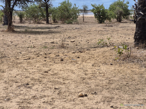 terrain-de-300-metres-carres-a-vendre-a-ndangane-senegal-big-4