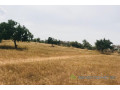 terrain-de-52-hectares-vers-diokoul-diawrigne-small-0