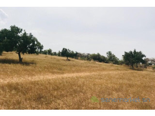 Terrain de 5,2 hectares vers Diokoul Diawrigne