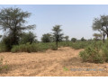 terrain-de-527-hectares-vers-notto-diobass-small-0