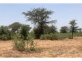 terrain-de-527-hectares-vers-notto-diobass-small-1