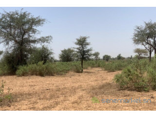 Terrain de 5,27 hectares vers Notto Diobass