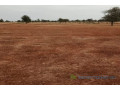 terrain-de-50-hectares-vers-nghaye-small-2