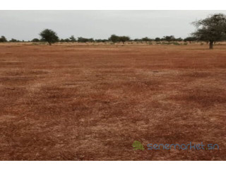 Terrain de 50 hectares vers Nghaye