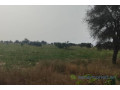 terrain-de-500-hectares-vers-mbane-small-1
