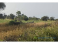 terrain-de-500-hectares-vers-mbane-small-0
