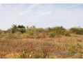terrain-de-5791-m2-vers-diass-small-2
