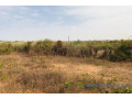 terrain-de-5791-m2-vers-diass-small-0