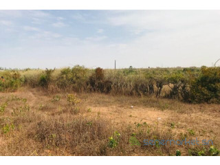 Terrain de 5791 m² vers Diass