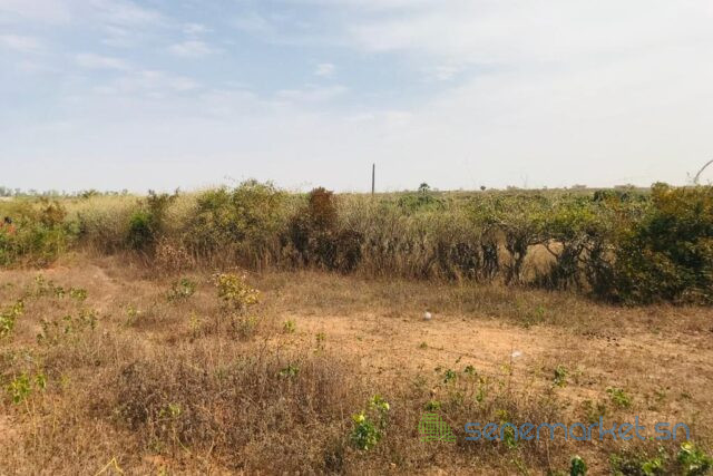 terrain-de-5791-m2-vers-diass-big-0