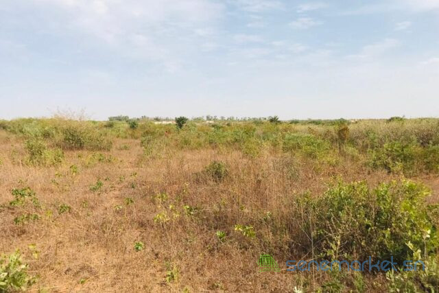terrain-de-5791-m2-vers-diass-big-1