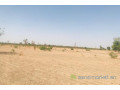 terrain-de-6-hectares-vers-fass-thieckene-small-2