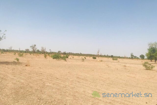 terrain-de-6-hectares-vers-fass-thieckene-big-2