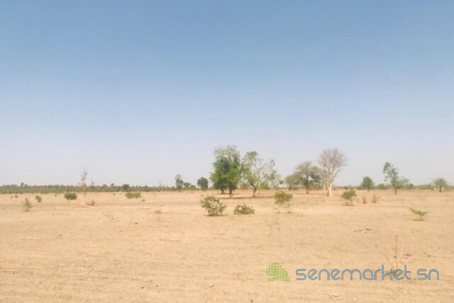 terrain-de-6-hectares-vers-fass-thieckene-big-1