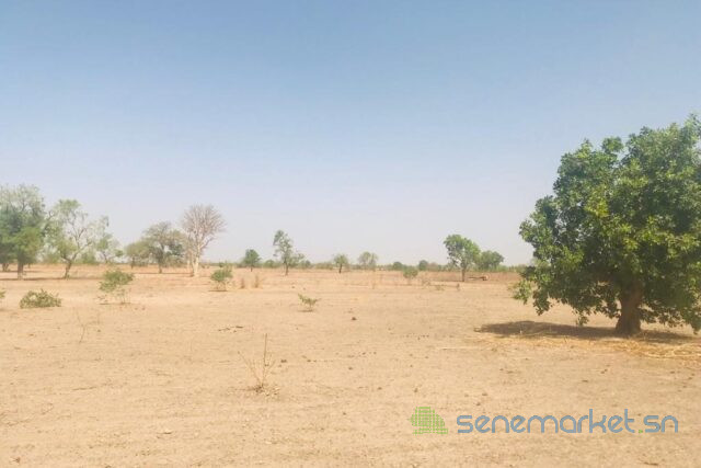 terrain-de-6-hectares-vers-fass-thieckene-big-0