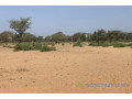 terrain-de-6-hectares-vers-touba-toul-small-2