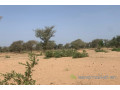 terrain-de-6-hectares-vers-touba-toul-small-1