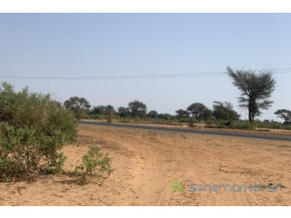 Terrain de 6 hectares vers Touba Toul