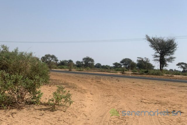 terrain-de-6-hectares-vers-touba-toul-big-0