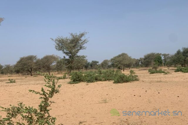 terrain-de-6-hectares-vers-touba-toul-big-1