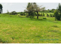 terrain-de-64-hectares-vers-diokoul-diawrigne-small-1