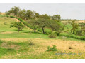 terrain-de-64-hectares-vers-diokoul-diawrigne-small-0