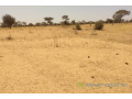 terrain-de-647-hectares-vers-sagata-small-0