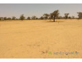 terrain-de-647-hectares-vers-sagata-small-2