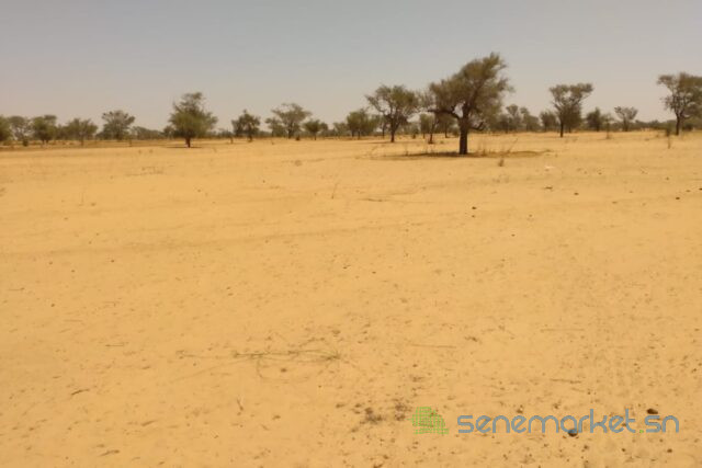 terrain-de-647-hectares-vers-sagata-big-2