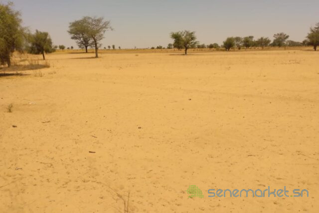 terrain-de-647-hectares-vers-sagata-big-1