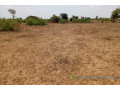 terrain-de-661-hectares-vers-touba-toul-small-2