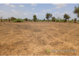 Terrain de 6,61 hectares vers Touba Toul