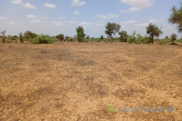 terrain-de-661-hectares-vers-touba-toul-big-0