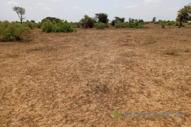 terrain-de-661-hectares-vers-touba-toul-big-2