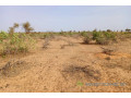 terrain-de-68-hectares-vers-nguidila-small-0