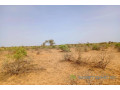 terrain-de-68-hectares-vers-nguidila-small-2