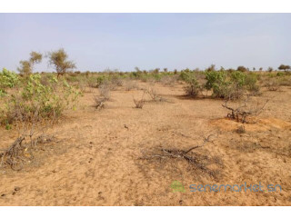 Terrain de 6,8 hectares vers Nguidila