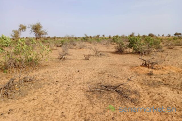 terrain-de-68-hectares-vers-nguidila-big-0