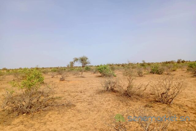 terrain-de-68-hectares-vers-nguidila-big-2