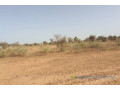 terrain-de-6112-m2-vers-thienaba-small-0