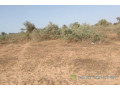 terrain-de-6112-m2-vers-thienaba-small-1