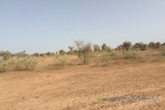 terrain-de-6112-m2-vers-thienaba-big-0