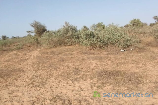 terrain-de-6112-m2-vers-thienaba-big-1