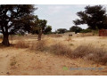terrain-de-6500-m2-vers-ngueniene-small-0