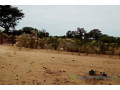 terrain-de-6500-m2-vers-ngueniene-small-2