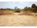 terrain-de-6500-m2-vers-ngueniene-small-1