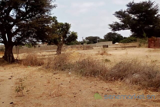 terrain-de-6500-m2-vers-ngueniene-big-0