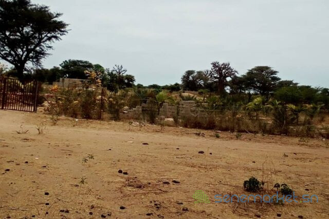 terrain-de-6500-m2-vers-ngueniene-big-2