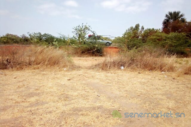 terrain-de-6500-m2-vers-ngueniene-big-1
